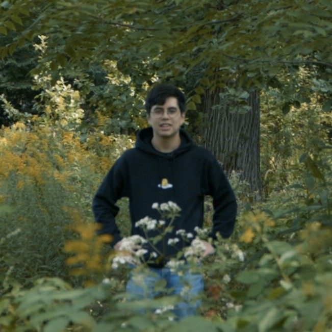 a photo of me standing in a forest (2023)